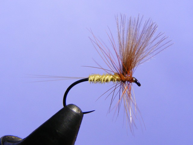 Basic dry fly - How to tie fly, Fly tying Step by Step Patterns & Tutorials